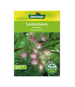 Seidenbaum - Seidenakazie 'Ombrella' -Gardena Store 00000000 Albizia julibrissin Ombrella 2016 1