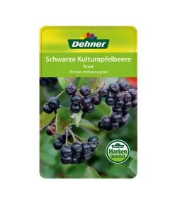 Apfelbeere, Aronia 'Aron' 8 Apfelbeere, Aronia 'Aron' -Gardena Store 00000000 Aronia melanocarpa Aron 2016 1