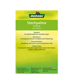 Japanische Stechpalme, Kugel -Gardena Store 00000000 Ilex crenata Convexa 2016 2