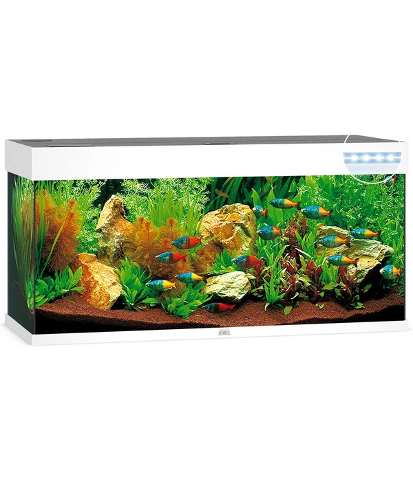 JUWEL® AQUARIUM Rio 240 LED 1 JUWEL® AQUARIUM Rio 240 LED