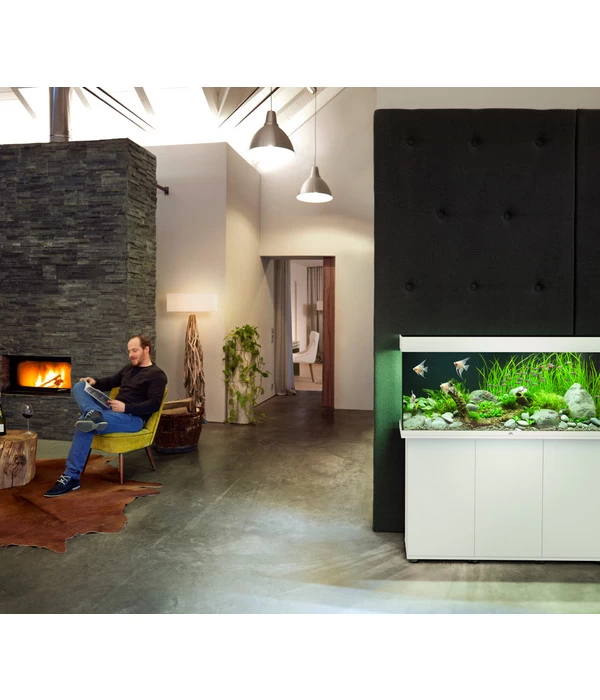 JUWEL® AQUARIUM Rio 240 LED 3 JUWEL® AQUARIUM Rio 240 LED – Bild 3
