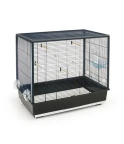 SAVIC Vogelheim Primo 60