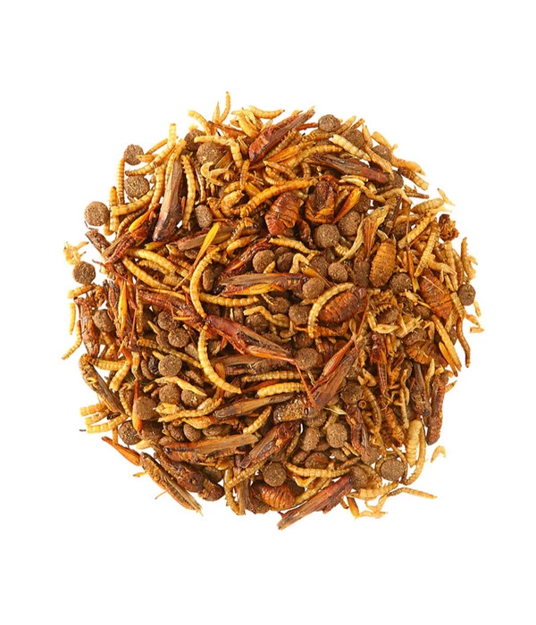 Dehner Natura Igel-Delikatesse, 100g 2 Dehner Natura Igel-Delikatesse, 100g – Bild 2