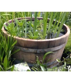 Holz-Weinfasskübel, Rund, Braun -Gardena Store 1710680 WE MO 001 WeinfassKuebelEiche