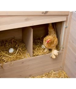 KERBL Hühnerstall Emma, Ca. B146/H85/T74 Cm 11 KERBL Hühnerstall Emma, Ca. B146/H85/T74 Cm -Gardena Store 1722214 WE D 004 KerblHuehnerstallEmma