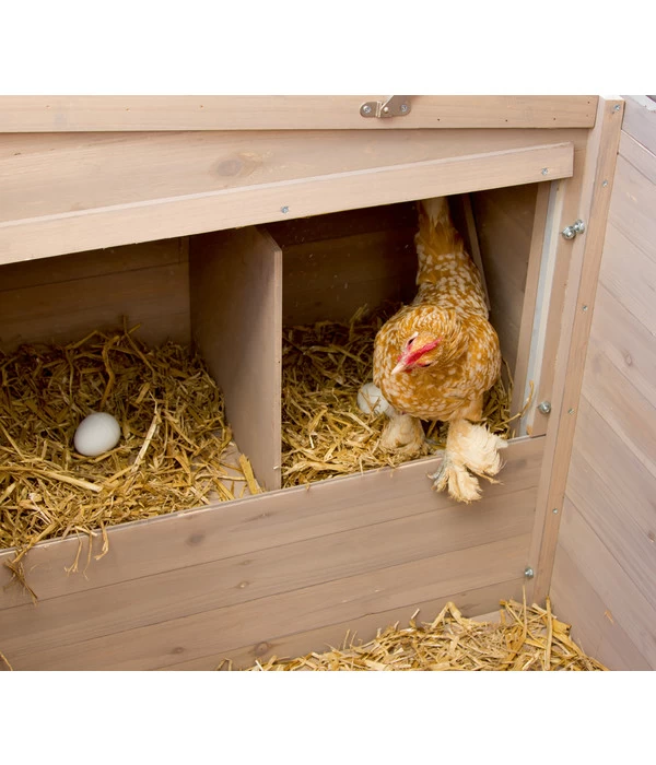 KERBL Hühnerstall Emma, Ca. B146/H85/T74 Cm 5 KERBL Hühnerstall Emma, Ca. B146/H85/T74 Cm – Bild 5