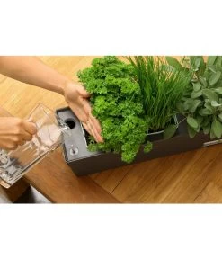 GREENBAR® Ersatzvlies, 3er-Pack -Gardena Store 20150713 347 greenbar steps 5 studio herzig