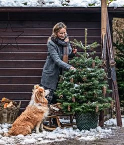 Nordmann-Tanne, B-Sortierung, Ca. 100-125 Cm, Im Topf Gewachsen -Gardena Store 20211215 8995946 8995706 8995953 WE MO 001 TannenbaumTopf