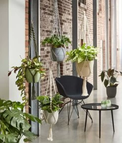 Dehner Makramee-Ampel -Gardena Store 2061968 4409132 WE MO 001 AmpelMakramee