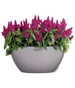 LECHUZA® Kunststoff-Schale Cubeto Stone, Rund -Gardena Store 2182574 2180354 WE MO 003 LECHUZACubetoColorrundgranit