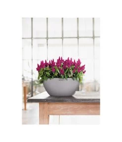 LECHUZA® Kunststoff-Schale Cubeto Stone, Rund -Gardena Store 2182574 2180354 WE MO 007 LECHUZACubetoColorrundgranit