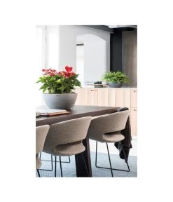 LECHUZA® Kunststoff-Schale Cubeto Stone, Rund -Gardena Store 2182574 2180354 WE MO 009 LECHUZACubetoColorrundgranit