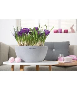 LECHUZA® Kunststoff-Schale Cubeto Stone, Rund -Gardena Store 2182574 2180354 WE MO 015 LECHUZACubetoColorrundgranit