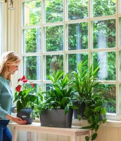 LECHUZA® Kasten DELTA, All-in-One-Set 6 LECHUZA® Kasten DELTA, All-in-One-Set -Gardena Store 2418598 WE MO 001 DeltaAnthrazitPruoColor 2427508 5496443