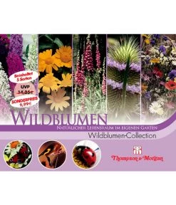 Thompson & Morgan Samen 'Wildblumen-Collection'