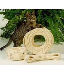 Silvio Design Sisaltauwerk Für Katzen