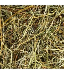 Dehner Bio Bergwiesenheu, 1,25 Kg -Gardena Store 2577856 WE D 001 DehnerBIOBergwiesenheu1250g