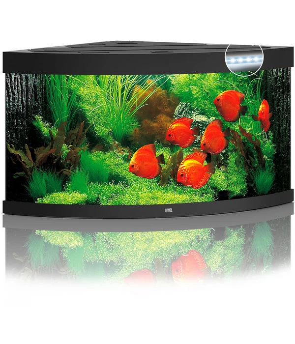 JUWEL® AQUARIUM Trigon 350 LED 1 JUWEL® AQUARIUM Trigon 350 LED