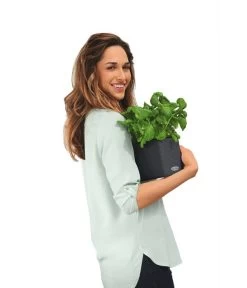 LECHUZA® CUBE Color, All-in-One Set -Gardena Store 2843480 WE MO 002 CubeColor14GrauLechuza