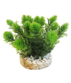 Sydeco Kit Kombi 5, Kunstpflanzen, 5 Stück -Gardena Store 2999134 WE D 005 SydecoKitKombi5