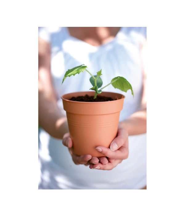 Elho Starter-Set Töpfe, 10 Stück 2 Elho Starter-Set Töpfe, 10 Stück – Bild 2