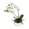 Dehner Kunstpflanze Mini-Orchidee Phalaenopsis, Weiß