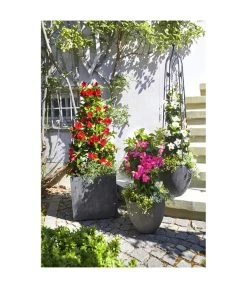 Dehner Polystone-Topf Brisbane In Riffeloptik, Rund -Gardena Store 3158847 3158870 3158888 3158995 3159092 3159126 WE MO 004 PolystoneTopfinRiffeloptikrundsand