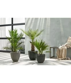 Dehner Polystone-Topf Brisbane In Riffeloptik, Rund -Gardena Store 3158847 3158870 3158888 WE MO 003 PolystoneTopfinRiffeloptikrundsand