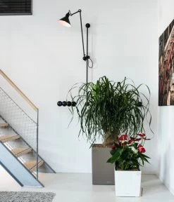 LECHUZA® CUBE, All-in-One Set -Gardena Store 3179850 3179637 WE MO 008 CubePremiumWeissTaupe