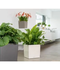 LECHUZA® CUBE, All-in-One Set -Gardena Store 3179850 PR MO 001 CubePremium30WeissLechuza