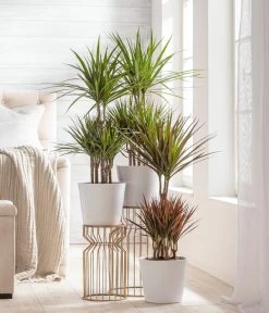 Dehner Keramik-Übertopf Basic, Rund 8 Dehner Keramik-Übertopf Basic, Rund -Gardena Store 3231560 WE MO 002 TopfBasicWeiss