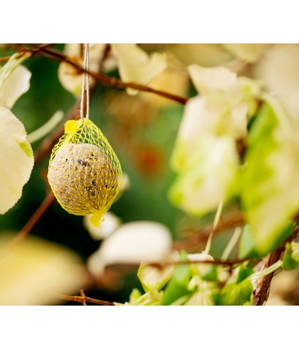 Dehner Natura Wildvogelfutter Meisen-Knödel, Mit Netz, 2 X 100 Stk. Je 100 G 2 Dehner Natura Wildvogelfutter Meisen-Knödel, Mit Netz, 2 X 100 Stk. Je 100 G – Bild 2