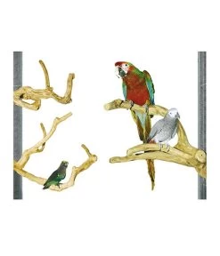 Wagner's Papageien Paradies Java Kletterstange Sittiche Und Papageien Small