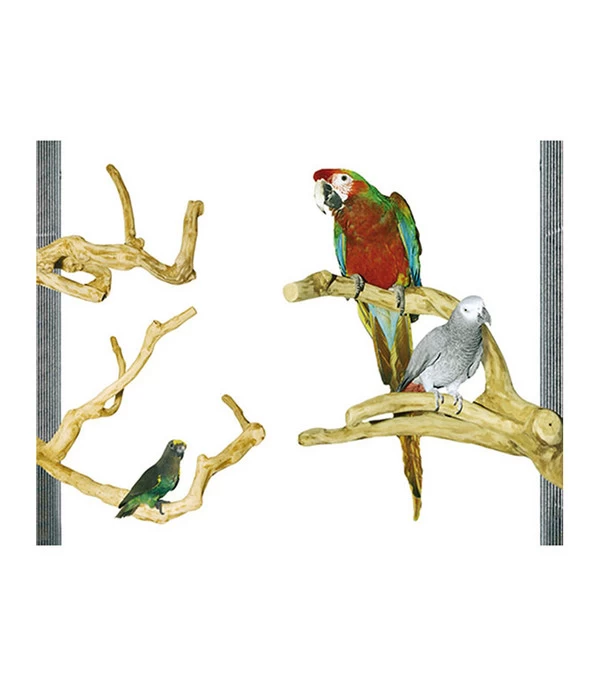 Wagner's Papageien Paradies Java Kletterstange Sittiche Und Papageien Small 1 Wagner's Papageien Paradies Java Kletterstange Sittiche Und Papageien Small