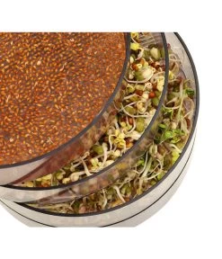 Dehner Sprossenhaus, 4 Schalen -Gardena Store 3677101 WE MO 002 DehnerSprossenhausKeimsprossen