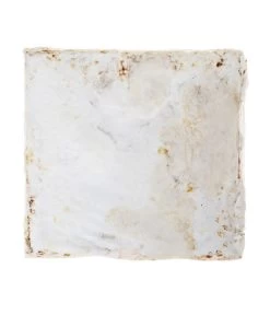 Pilzmännchen Bio Pilzzuchtset Austernpilz -Gardena Store 3940285 BildD 002 PilzmaennchenBioHomePilzzuchtsetAusternpilzPilzbrutAusternpilzSet