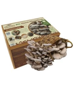 Pilzmännchen Bio Pilzzuchtset Austernpilz