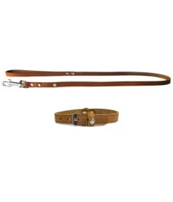 Das Lederband Halsband/Leinen-Set Basic Weinheim Kastanie