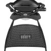 Weber Gasgrill Q 2000 Mit Stand, 55 X 39 Cm