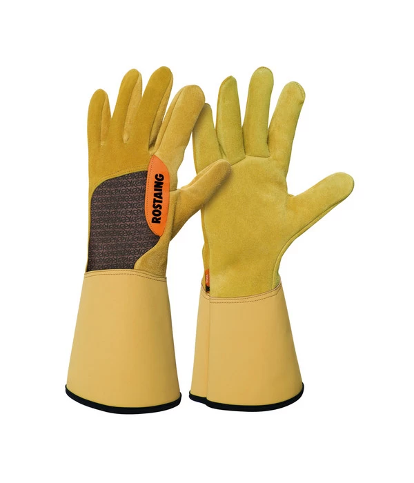 Rosenhandschuh Roncier 1 Rosenhandschuh Roncier