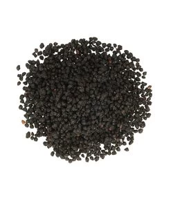 Dehner Natura Premium Ganzjahresfutter Holunderbeeren, 450 G 5 Dehner Natura Premium Ganzjahresfutter Holunderbeeren, 450 G -Gardena Store 4112876 PR DE 001 DehnerNaturaPremiumBeerensnackHolunderbeeren450g