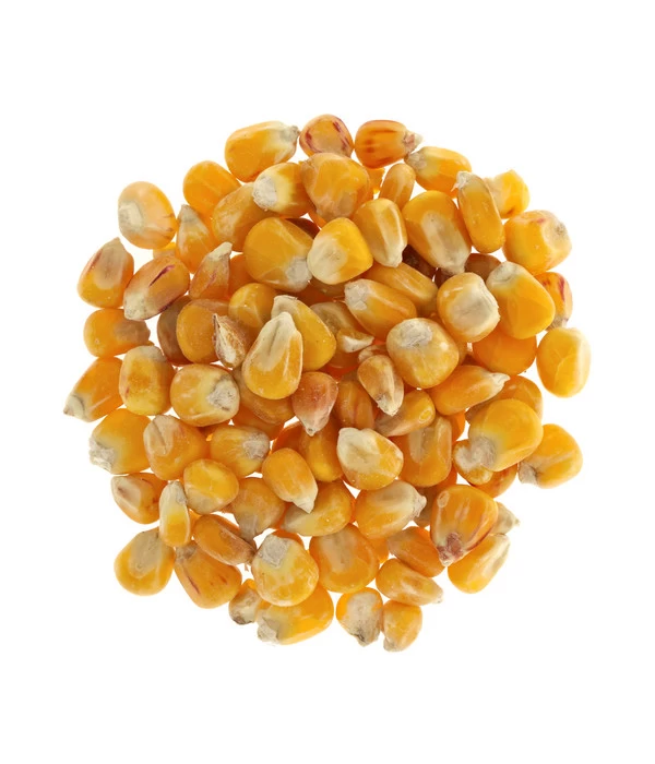 Dehner Körnermais, 2,5 Kg 2 Dehner Körnermais, 2,5 Kg – Bild 2