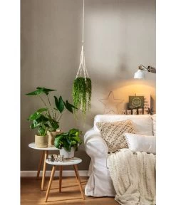 Dehner Makramee-Ampel -Gardena Store 4152484 PR MO 001 TopfFreshBraunGrau 4408951 4408977 4408985 4409132