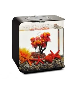 BiOrb® Aquariumdeko Decor Set 15 L Herbst -Gardena Store 4163838 WE M 004 BiOrbAquariumdekoDecorSet15LHerbst