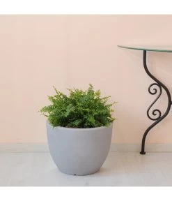 Farmet Kunststoff-Topf-Set Orione, Rund, Grau, 2-teilig -Gardena Store 4179008 WE DE 002 ORIONERunderPflanzkuebelDurchmesser50cm37cmhochSTEINBEIGE