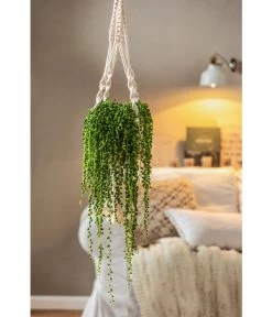 Dehner Makramee-Ampel -Gardena Store 4409132 PR MO 003 AmpelnFreshMakramee