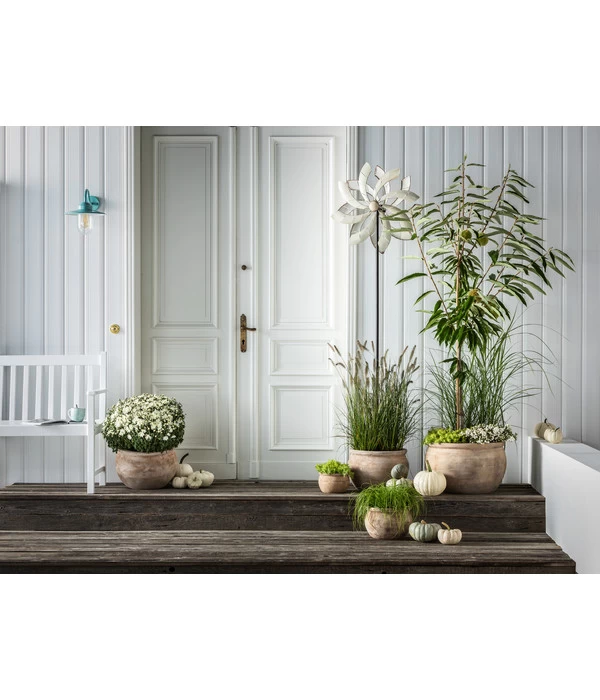 Dehner Windrad, Weiß 2 Dehner Windrad, Weiß – Bild 2