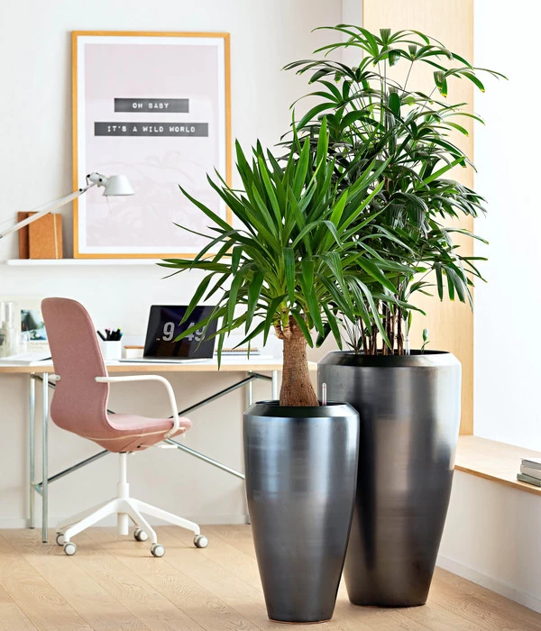 Dehner Keramik-Vase Lissabon Mit LECHUZA® Bewässerungssystem, Konisch 5 Dehner Keramik-Vase Lissabon Mit LECHUZA® Bewässerungssystem, Konisch – Bild 5