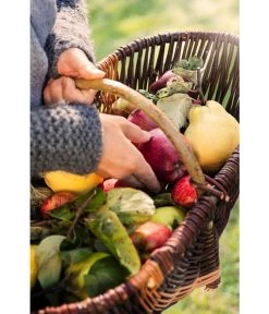 Dehner Weidenkorb Mit Bügel, Ca. B55/H27/T34 Cm -Gardena Store 482976 WE DE 001 WeidenkorbMitBuegel