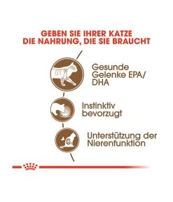 ROYAL CANIN® Nassfutter Für Katzen Ageing 12+, 12 X 85 G -Gardena Store 5459516 WE DE 002 RCKNFAgeing12plus 12x85g